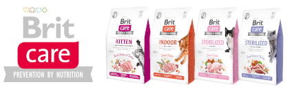 Brit Care Cat