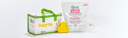 Brit Puppy Kit